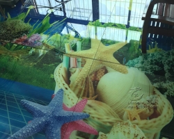 18新利吧18新利客服客户案例