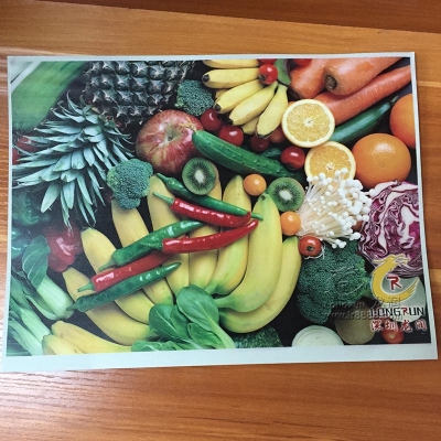 皮革打印机效果图